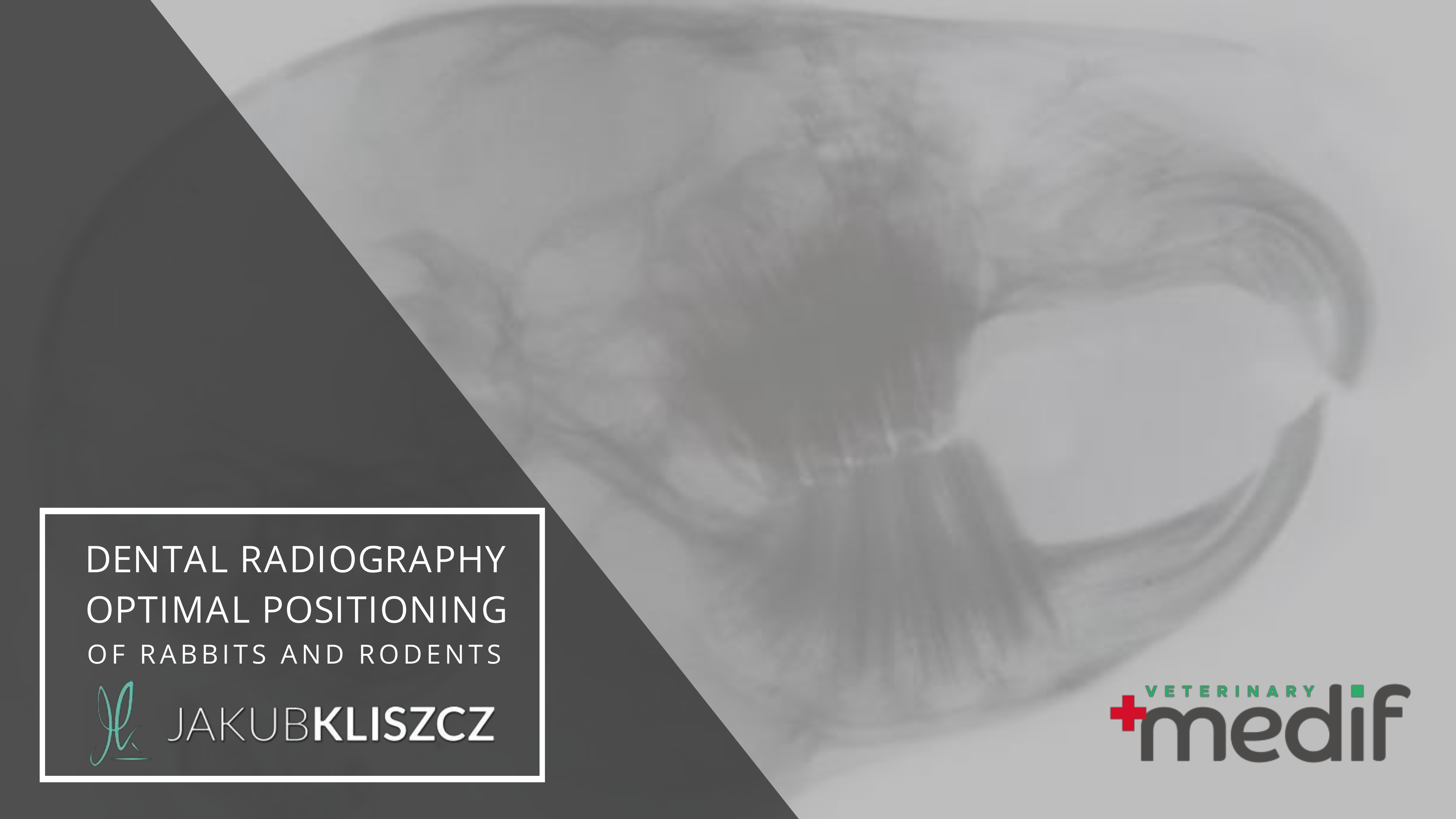 MEDIF-Radiology-positioning_guide MEDIF-Radiology-positioning_guide