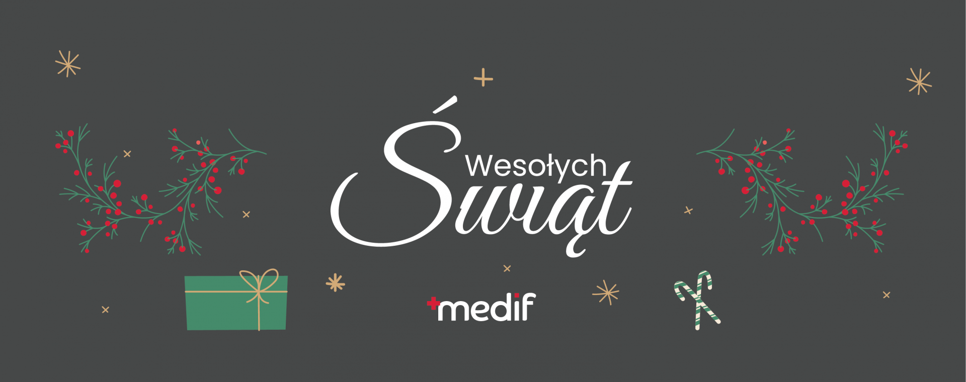 Wesołych Świąt życzy MEDIF